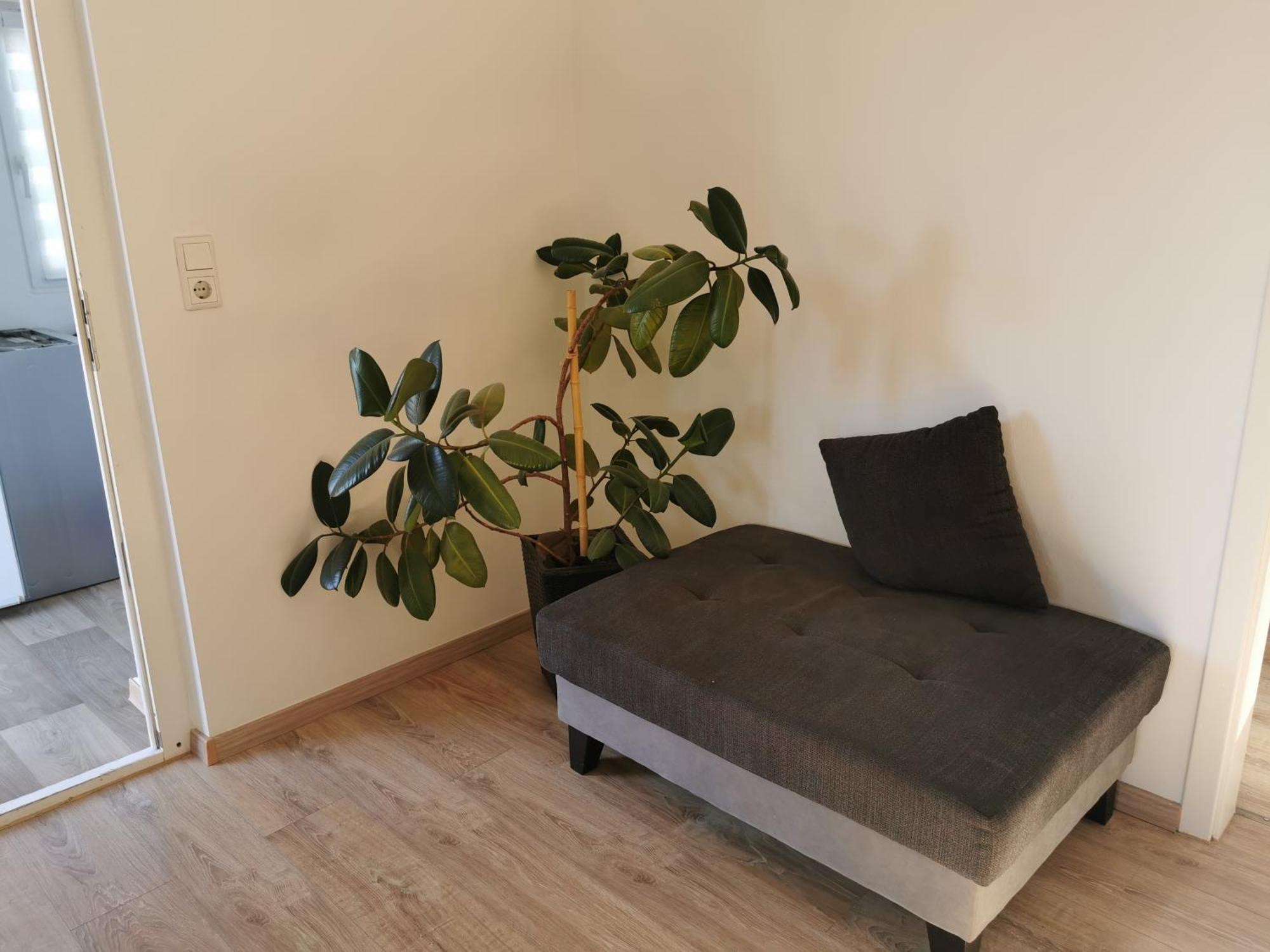 4-Zimmer-Wohnung Mit 6 Betten Bad Oeynhausen Exteriör bild